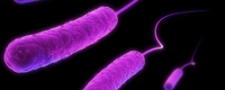 Blaasontsteking blijft goed te behandelen met antibiotica