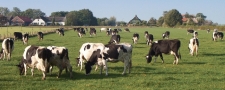 Boer gezonder