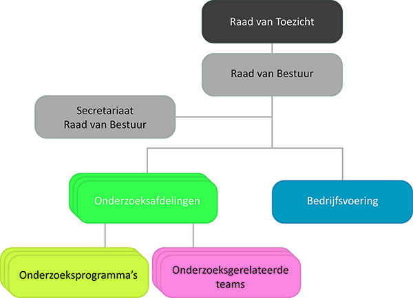 Nivel organogram FOO 600px