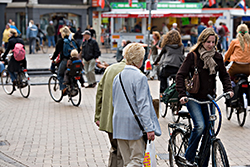 Nationaal Panel Chronisch zieken en Gehandicapten