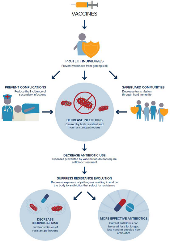 Vaccines on AMR