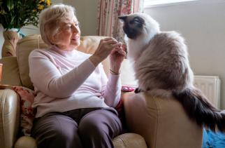 Nivel: Vertrouwdheid met directe omgeving en personen belangrijk voor ouderen die langer thuis wonen