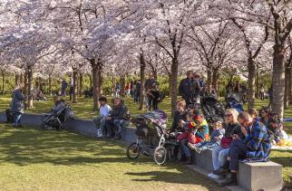 Nivel jaarverslag 2021 – missiegedreven onderzoek brede gezondheidszorg