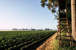Nivel: Gaswinningsproblemen raken ook Drenthe: schade en psychosociale impact voorbij de provinciegrens 