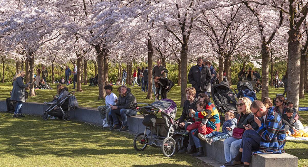 Nivel jaarverslag 2021 – missiegedreven onderzoek brede gezondheidszorg