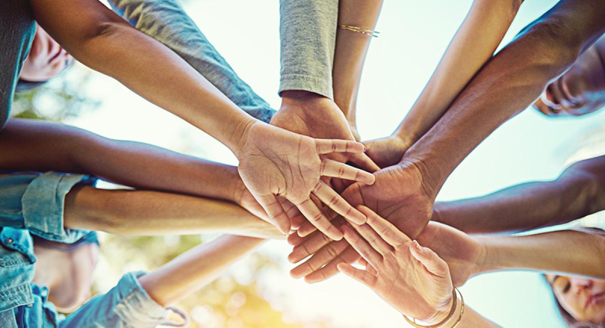 Nivel: Leer- en verbeternetwerken verbinden kennis en praktijk