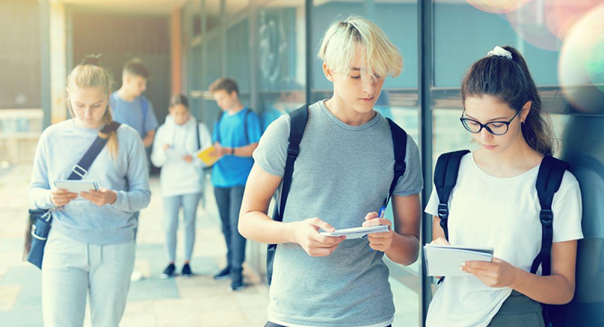 Nivel: Coronapandemie veranderde route van jongeren na schoolverlaten